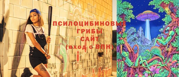 сатива Арсеньев