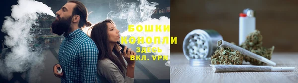 шишки Алексин