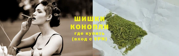 шишки Алексин